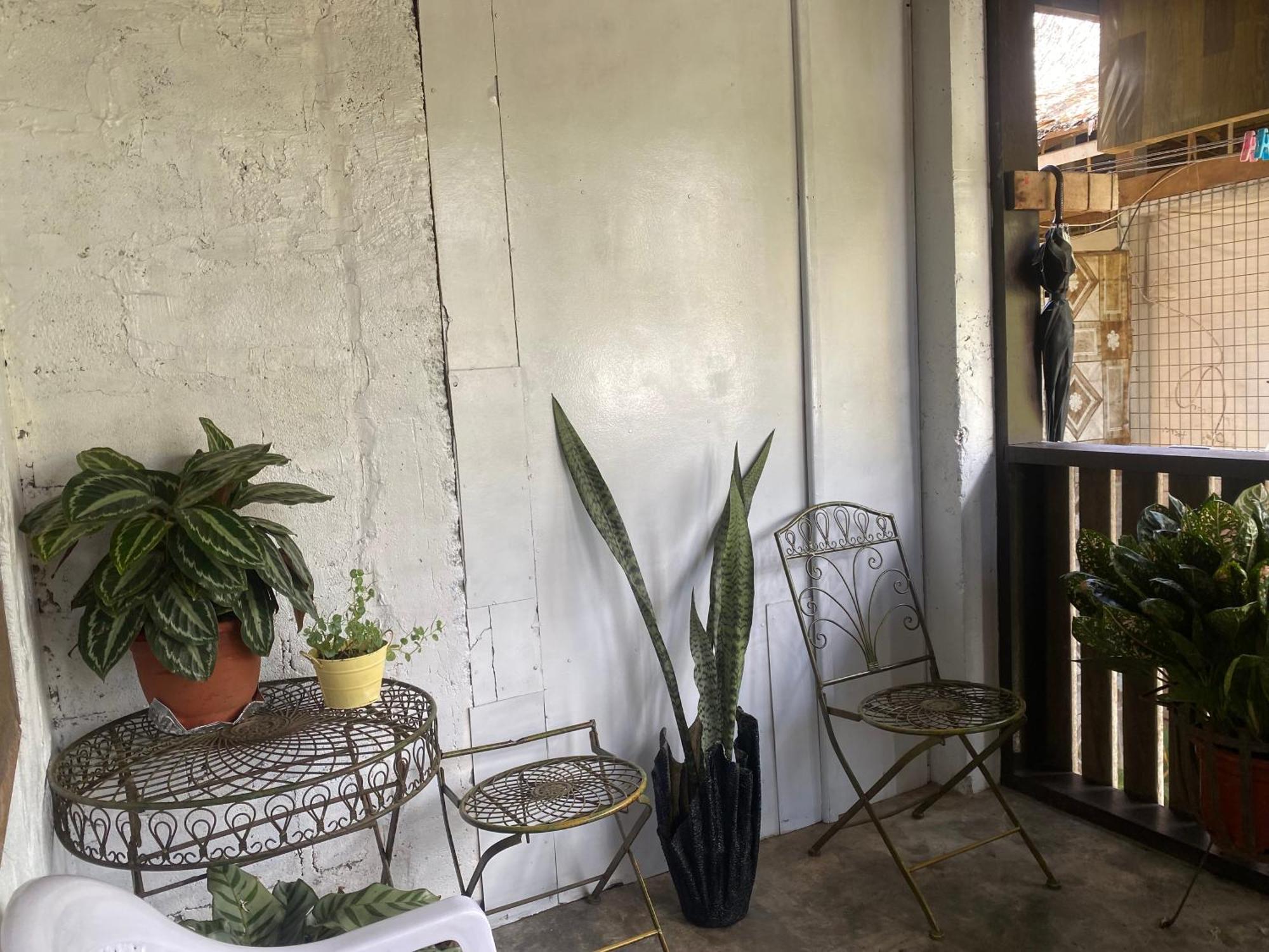 הוניארה Island Home מראה חיצוני תמונה
