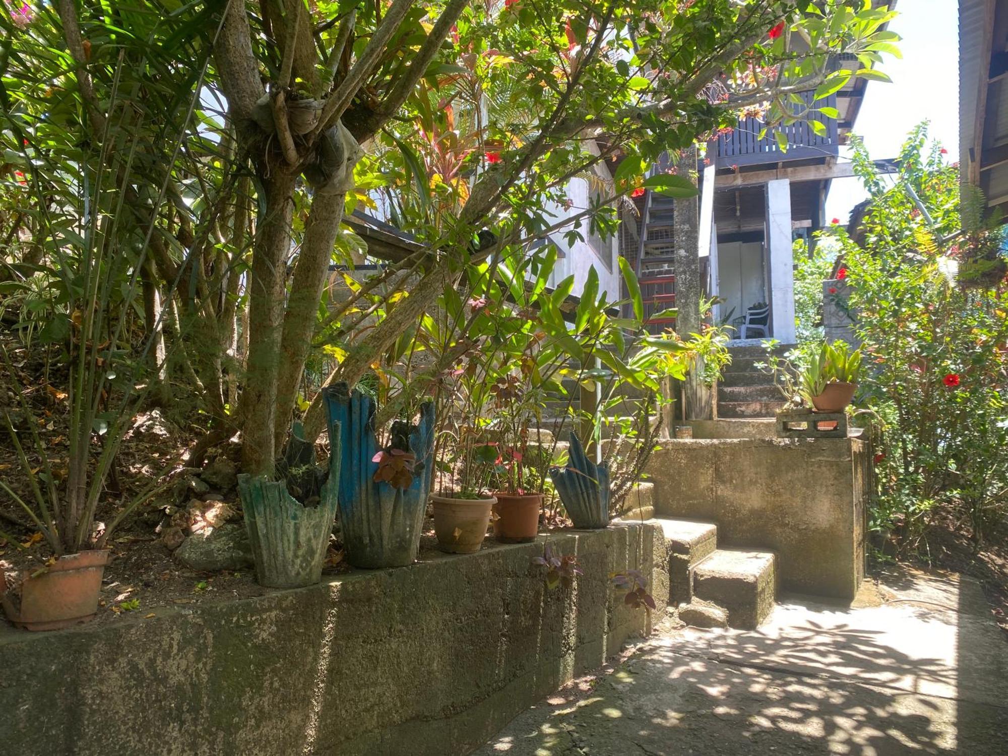 הוניארה Island Home מראה חיצוני תמונה